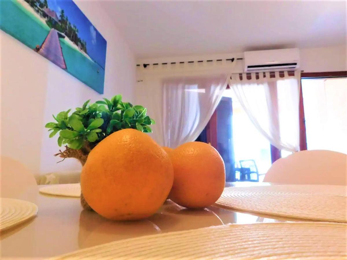 Tropical Playa Z Widokiem Na Morze, 400 M Do Plazy La Mata Beach Torrevieja Dış mekan fotoğraf